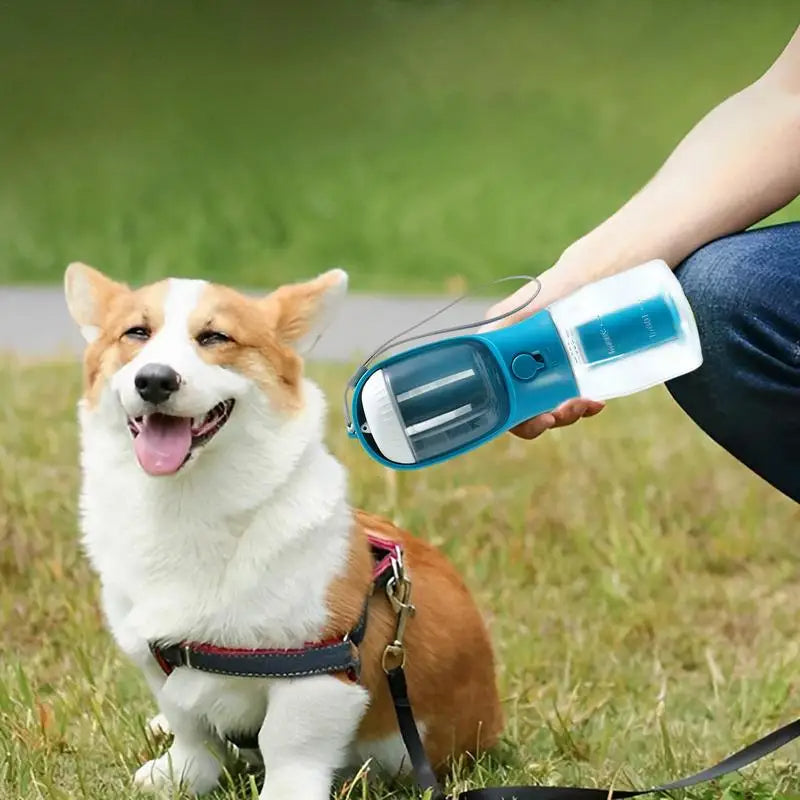 3-in-1 Portable Pet Cup